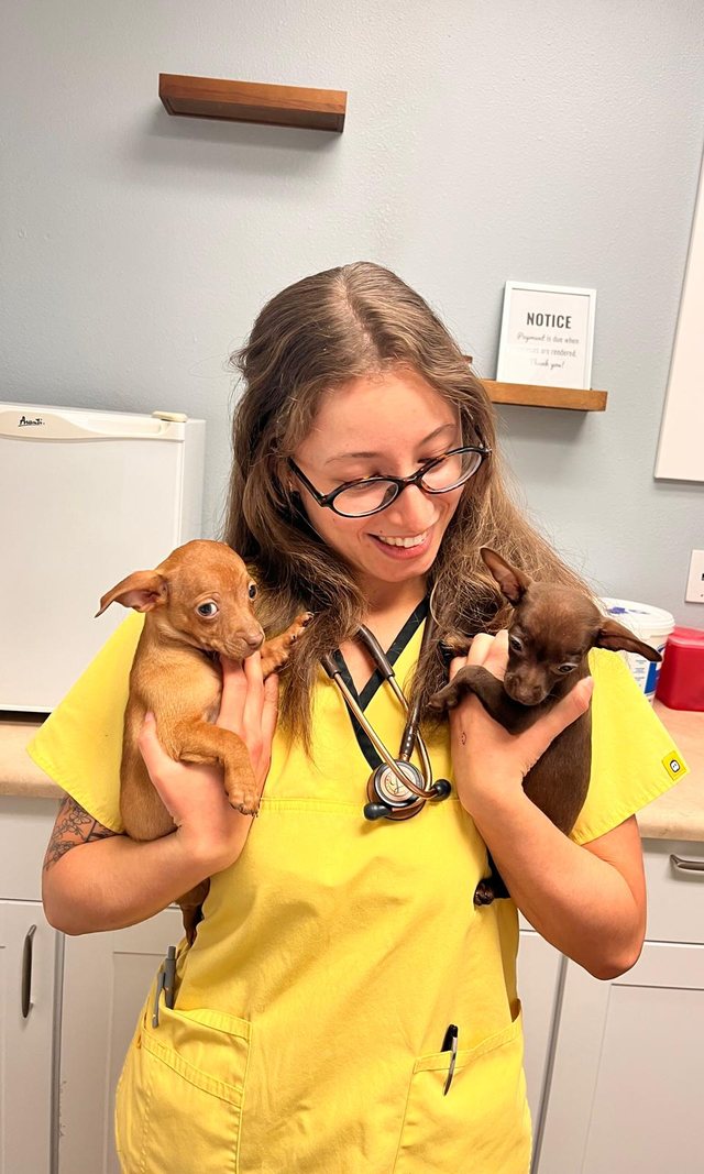 Suari in scrubs holding two tiny puppies